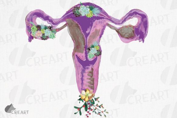 Watercolour Floral Succulent Vagina PNG